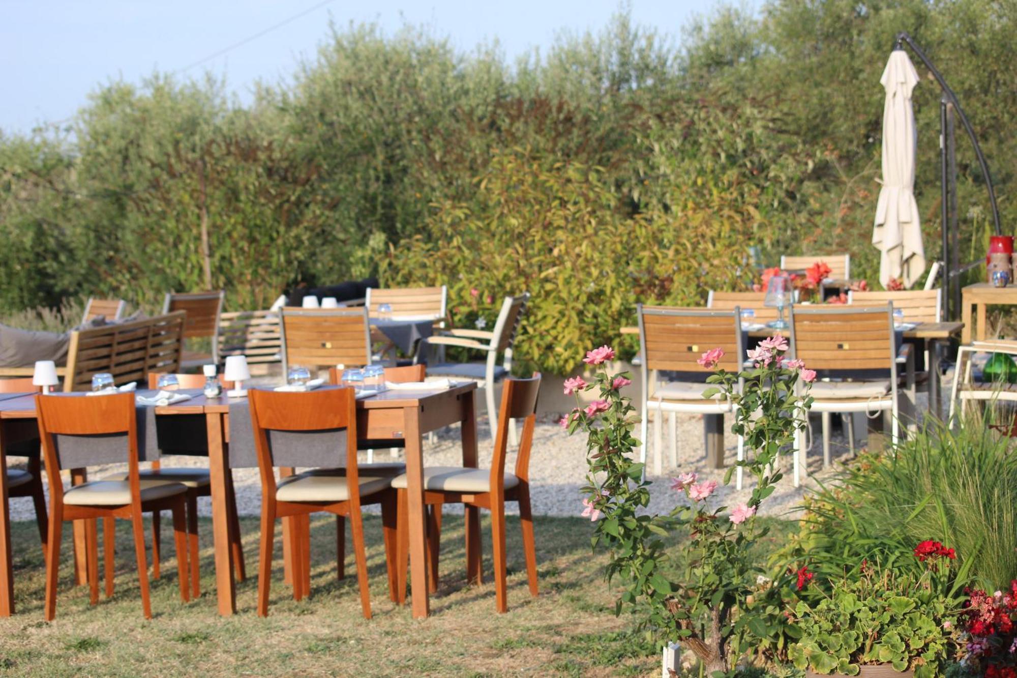 Gastronomic B&B Carlocarla Monte San Pietrangeli Ngoại thất bức ảnh
